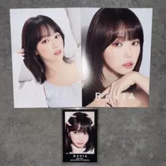 ※24時間以内発送　チェウォン　ステッカー　Le Sserafim