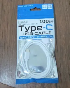 Type-C USBケーブル 100cm