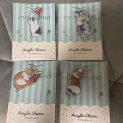 モフサンド　MOFUSANDアクリルチャーム4個セット