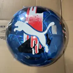 サッカーボール小学生用検定球　4号サイズのサムネイル