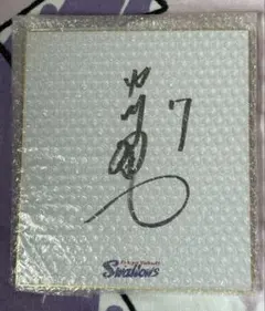 YS公式色紙 つば九郎 直筆サイン 東京ヤクルトスワローズ 野球 - メルカリ
