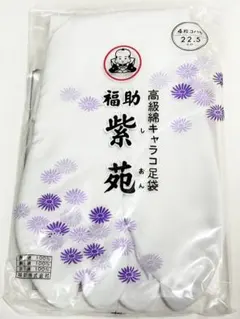 Item thumbnail for item 62559a6f-e711-4360-8fed-da040d1552fd