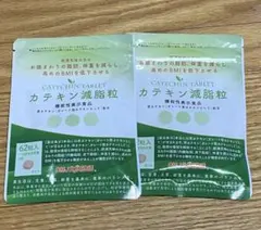 2026年最新】カテキン減脂粒の人気アイテム - メルカリ