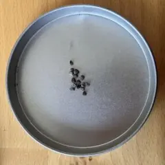 ユン様 リクエスト 4点 まとめ商品