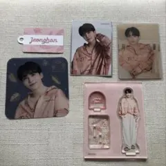 SEVENTEEN セブチ セブチカフェ ジョンハン アクスタ FC特典 トレカ