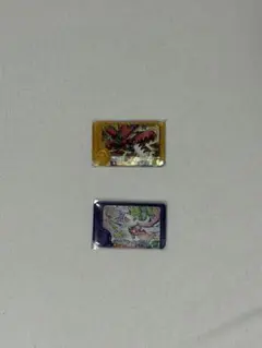 ポケモンフレンダ ハッサム シェイミ 2枚セット