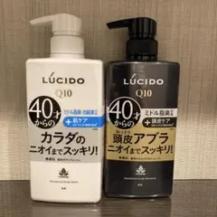 【新品】LUCIDO ルシード シャンプー＆ボディウォッシュ　本体各450mlのサムネイル