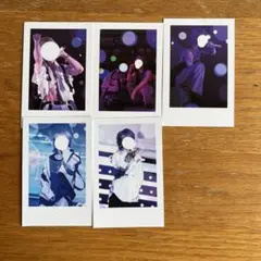 いれいす 実写チェキ風トレカ 初兎 第2弾