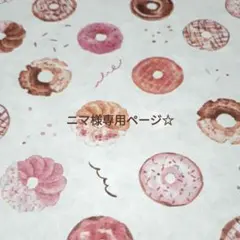 ニマ様専用ページ☆　アップルパイセット