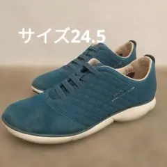 Item thumbnail for item 64f9115c-081b-421f-8674-24f78501dac0