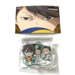 ハイキュー 及川 岩泉