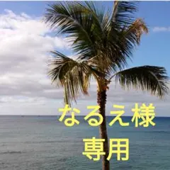 なるえ様専用　笹の葉　ネコポス発送