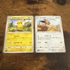 イーブイ ピカチュウ 2枚セット ブイサーチ たいでん s6a - メルカリ