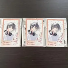 夢追翔　わんにゃんdaysチェキ風カード3枚セット