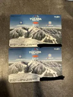 2025-26シーズン 石打丸山スキー場リフト券2枚 日付指定無し 全日利用