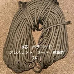 Item thumbnail for item e63f5c97-d7d0-49e8-8e88-1cdacfa6a728