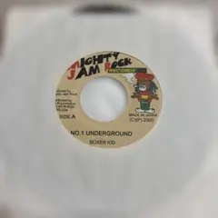 Hot Boogie Chillun コレクターズアイテム‼️廃盤‼️ - メルカリ