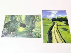 三鷹の森ジブリ美術館　限定　となりのトトロ ポストカード ジブリ