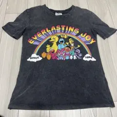 ZARA セサミストリート Tシャツ