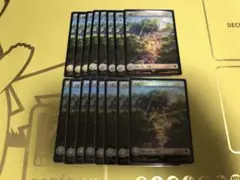MTG FF チョコボバンドル 平地 フルアート FOIL 16枚セット