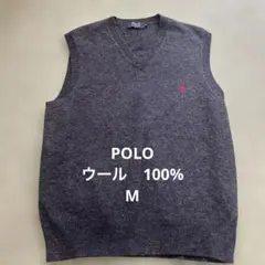 ポロ ニットベスト スクールカーディガン ポロラルフローレン L