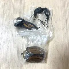 살아 있는 동물의 위대한 그림책: 가부토무시 헤라클레스 • 리키 오렌지