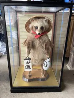 たぬき 剥製 - メルカリ