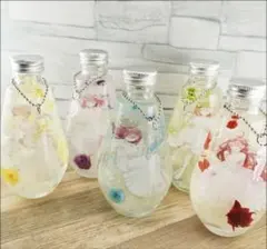 五等分の花嫁 ハーバリウム 5種セット - メルカリ