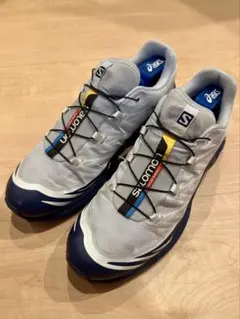 2026年最新】SALOMON メインカラー：ブルー メンズ スニーカーの人気 