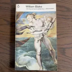 Item thumbnail for item 6534fed1-0c0f-4b9e-a835-51c74178e9a5