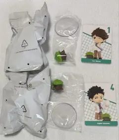 竹中雄大 バースデーグッズ きゅうりキーホルダー 未開封 - メルカリ