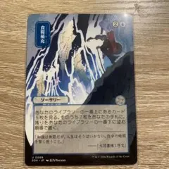 2026年最新】食糧補充 mtg の人気アイテム - メルカリ