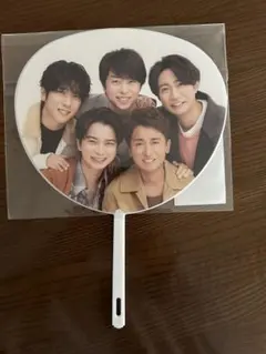 WE ARE ARASHI LIVE TOUR 2026 ミニうちわ 集合