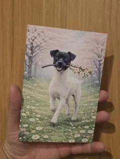 Item thumbnail for item b62f5b8b-cf3b-4903-b45a-f6819ccb3bd1