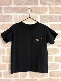 THE NORTH FACE ショートスリーブポケットT 120