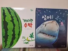 韓国語絵本 2冊セット 自然科学絵本 놀라운자연サンプル本