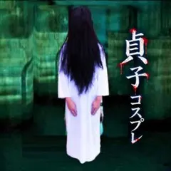 貞子 コスプレ ウィッグ ハロウィン 仮装 文化祭　お化け屋敷