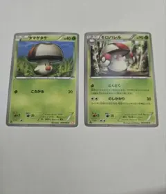 タマゲダケ　モロバレル　bw2　ころがる　どくどく