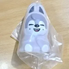 2026年最新】SKZOO 10cm ペンライトの人気アイテム - メルカリ