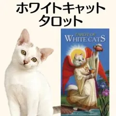 yumy様 リクエスト 2点 まとめ商品