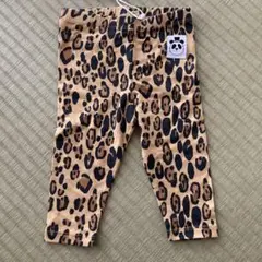 ミニロディーニ mini rodini