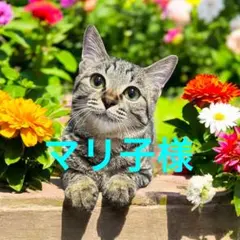 Item thumbnail for item 00617fc6-fe51-4a35-99a6-b196a6c23aa0