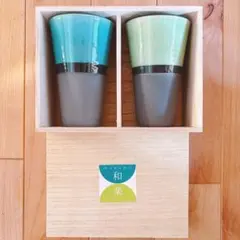 【たち吉】和楽 ペアビアタンブラー（木箱入）
