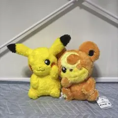ポケットモンスターもふぐっとほっこりいやされぬいぐるみ〜ピカチュウ・ヒメグマ〜