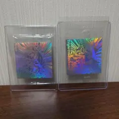 ライドケミートレカ TCS-052 TCS-053 ブランクカード blank - メルカリ
