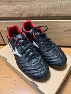 モナルシーダネオ 【MONARCIDA NEO】