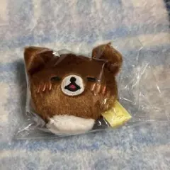 [新品・未使用] チャイロイコグマ フェイスマスコット リラックマ 今日の気分