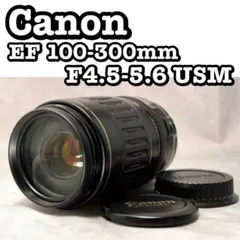 Canon EF 100-300mm USM ❤️望遠レンズ キヤノン 一眼レフのサムネイル