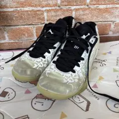 NIKE ザイオン 3 Jordan 消臭剤、エゴザルシューズケースセット