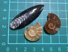 abc様 リクエスト 3点 まとめ商品